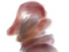 224.jpg