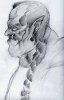 Orc.jpg