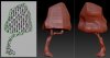tree topology.jpg