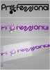 Professional_logotype_by_cg-gilas.jpg