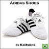 GTA-IV-Adidas-Good-Year-Shoes_1.jpg