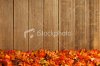 stock-photo-17481747-fall-garland.jpg