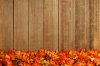 stock-photo-17481747-fall-garland.jpg