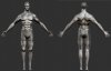 3D_Male_Model_by_br4mb13s.jpg