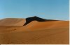 desert.jpg