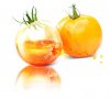 yellow_tomatoes.jpg