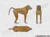 Baboon.jpg
