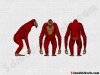Orangutan.jpg