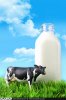 milk-pic-2.jpg