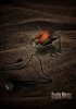 beetlemouse_high_contrast_new.jpg
