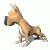 gif-dog-i14.gif