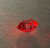 the.little.red.one.thumb.jpg