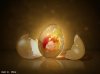 glassy - egg.jpg
