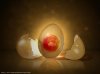 glassy - egg2.jpg