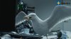 swiss_seagull_01.jpg