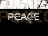 PeaCe1-1.jpg