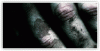 17_06_06_Decay_Photoshop_Brushes.gif