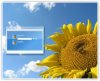 23_07_06_SunFlower.jpg