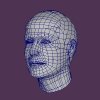 face wire.jpg
