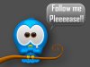 Twitter Bird 1.jpg