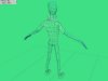 wireframe2.jpg