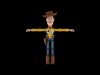 woody front.jpg