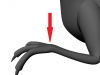 dai.png
