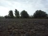 IMG_20120820_180040.jpg