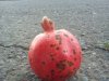 IMG_20120820_180349.jpg