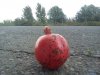 IMG_20120820_180337.jpg