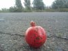 IMG_20120820_180330.jpg
