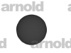 Arnold Test .png
