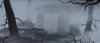 Fog.jpg