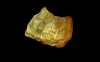 Cloth 2.png