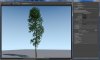 tree_trans.JPG
