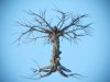 tree.jpg