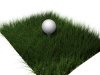 Golf_ball.jpg