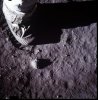moon-armstrong-400x405.jpg