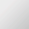 banner.gif