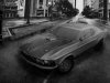 MO-HAMMAD-CAR -BLACK AND WHITE.jpg