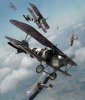 Albatros-DVa-mm-Dogfight.jpg