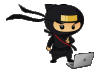 ninja1.gif