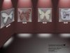Gallery2.jpg