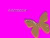 parvaneh-background.jpg