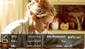 Erin-Brockovich-movie.jpg