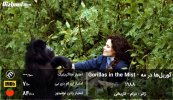 gorillas-in-the-mist-movie.jpg