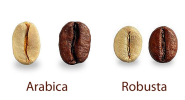 Arabica-vs-Robusta.png