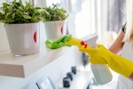 shutterstock_546648745.jpg