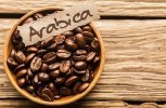 cafe-arabica-semence-canada.jpg