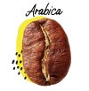 arabica-coffee-bean.jpg